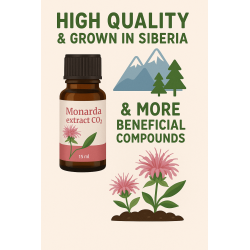 Siberian Monarda Oil – CO₂ Extract | Anti-Fungal, Anti-Acne | Organic & Powerful