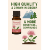 Siberian Monarda Oil – CO₂ Extract | Anti-Fungal, Anti-Acne | Organic & Powerful