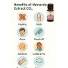Siberian Monarda Oil – CO₂ Extract | Anti-Fungal, Anti-Acne | Organic & Powerful