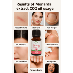 Siberian Monarda Oil – CO₂ Extract | Anti-Fungal, Anti-Acne | Organic & Powerful