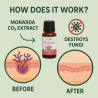 Siberian Monarda Oil – CO₂ Extract | Anti-Fungal, Anti-Acne | Organic & Powerful