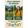 Siberian Monarda Oil – CO₂ Extract | Anti-Fungal, Anti-Acne | Organic & Powerful