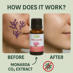 Siberian Monarda Oil – CO₂ Extract | Anti-Fungal, Anti-Acne | Organic & Powerful