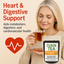 Ivan Tea 2 LB • Wild Harvested from Siberia • Fermented Leaf on Roller