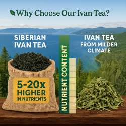 Ivan Tea 2 LB • Wild Harvested from Siberia • Fermented Leaf on Roller