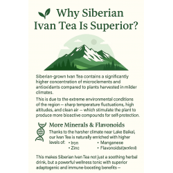 Ivan Tea 2 Lb Bulk – Premium Fermented Herbal Tonic – Caffeine-Free, Natural